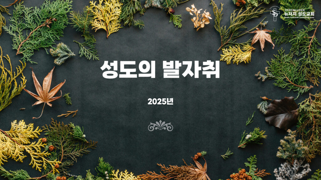 2025년 한 해를 돌아보며