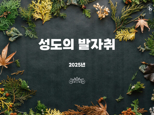 2025년 한 해를 돌아보며